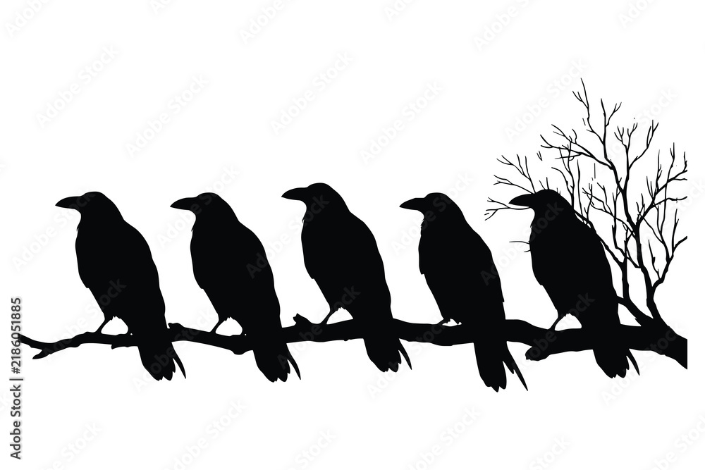 Obraz premium Silhouette of five crows perched on a branch