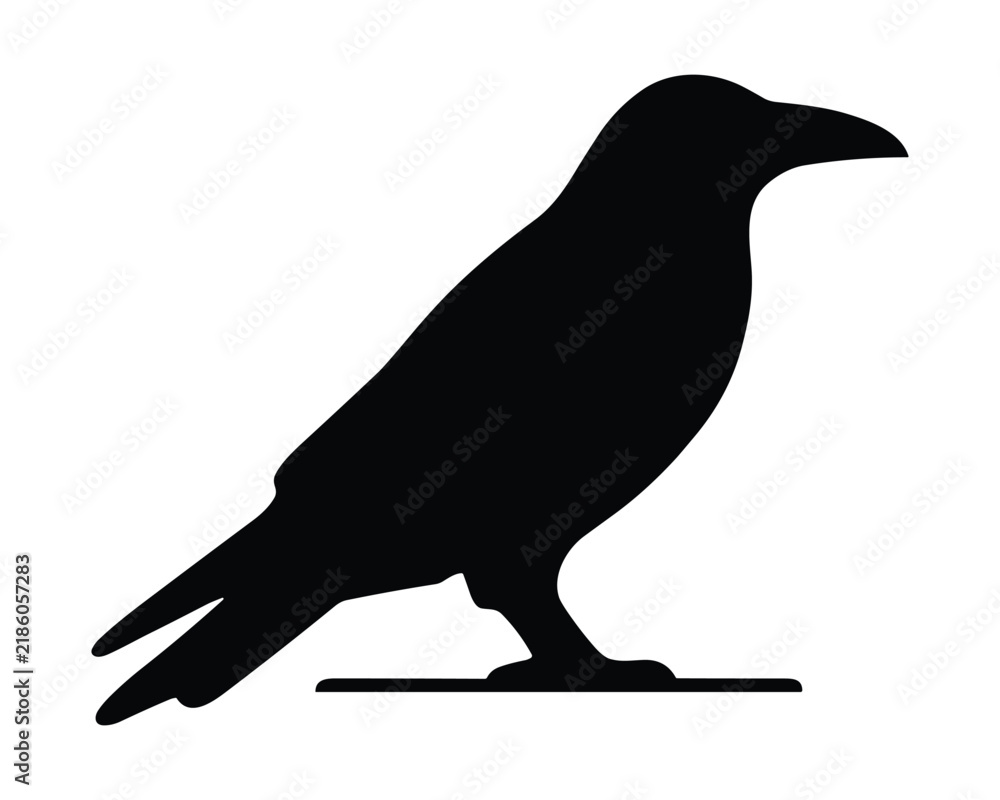 Obraz premium Black silhouette of a raven bird