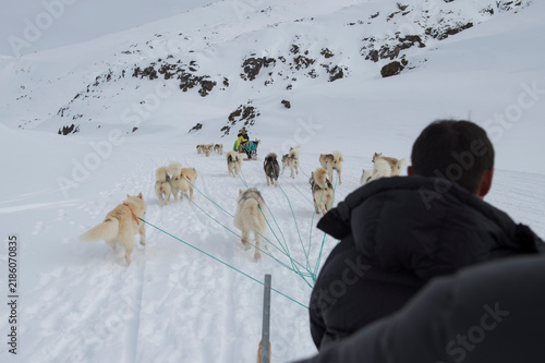 Foto Greenland dogsledding