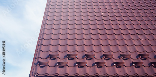 Принти на полотні Snow bars (guards, retainers) on the tile roof