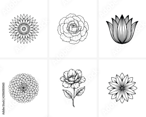 Six elegant black and white flower line drawings