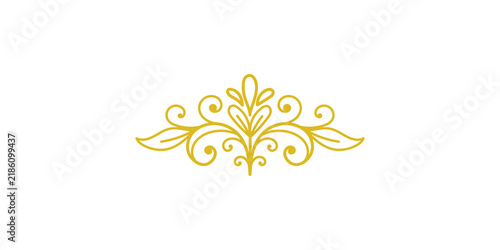 Fotografie A detailed golden floral flourish graphic design element, featuring ornate curls