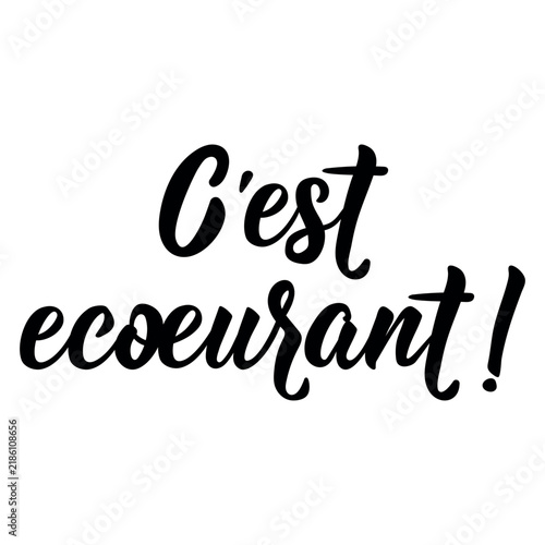 Quebec French slang poster. Translation from French: It's amazing. Hand drawn black and white minimalist typography lettering design for Canada.