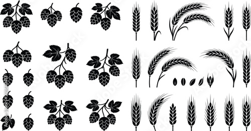 Vintage Botanical Collection of Hops Wheat and Grain Decorative Elements