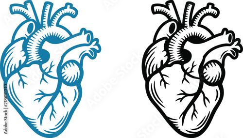 Heart icon illustration featuring anatomical medical line art