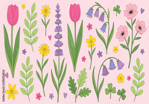 Cute Kawaii Botanical Vector Set with Tulips, Lavender, Bluebells, Daisies, Wildflowers, Leaves, Clover, Hearts, and Spring Garden Graphic Designs