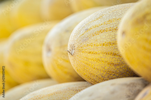 Netted yellow melon skin fills the frame at an open air produce market