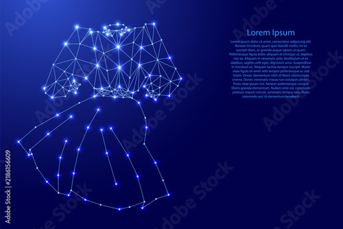 women dress with sleeves from futuristic polygonal blue lines and glowing stars for banner, poster, greeting card