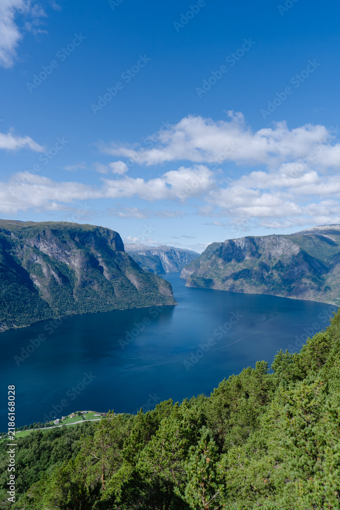Fototapeta premium Dramatic Norwegian fjord landscape with deep blue water and towering green mountains