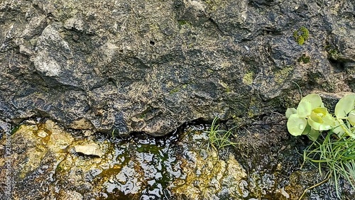 stone wall background, stones background, asphalt background