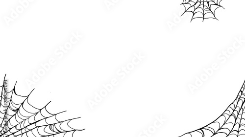 Spider web