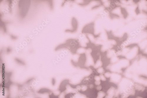 Shadow and light of leaves tree branch background. Natural  colorful leaf pastel pink, beige, rose gold shadow and light from sunlight on white wall texture for wallpaper overlay effect and design
