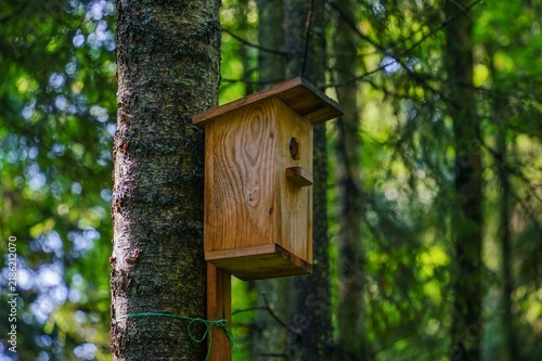 Wooden Birdhouse Mounted on Tree Trunk in Forest