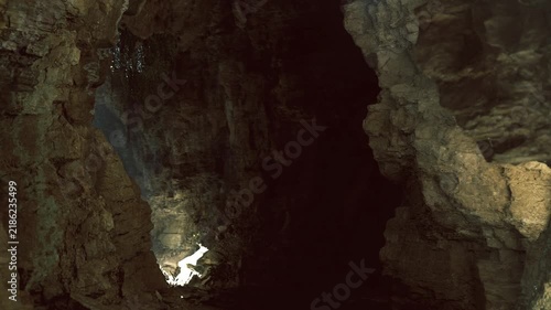 Hang son doong karst survey scene shows stratified limestone walls and illuminated pocket of vegetation under narrow skylight, damp atmosphere and textured