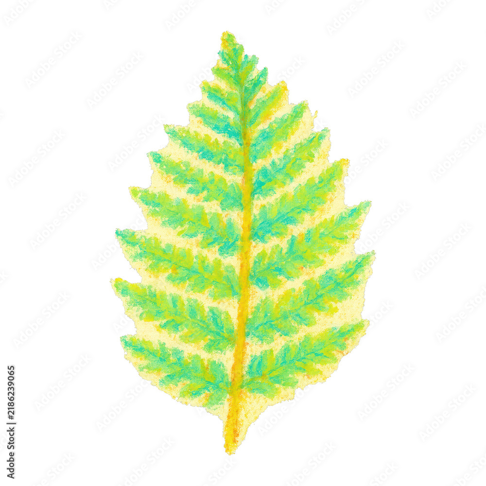 Obraz premium PNG Colorful textured fern leaf illustration.