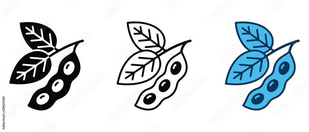 Fototapeta premium berries with leaves in different colors for nature and botanical design projects