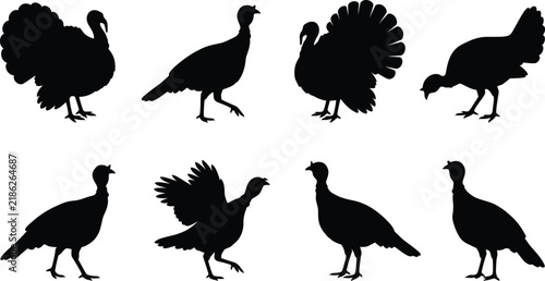 Turkey bird silhouettes collection showing varied poses for thanksgiving animal art.
