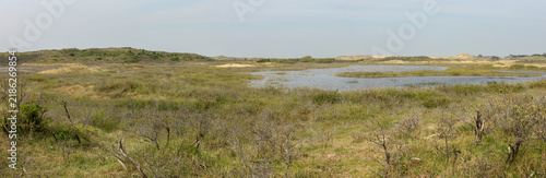 Bruid van Haarlem (Bride of Haarlem), a prominent, protected sand dune area located within the Kennemerduinen section of the Zuid-Kennemerland National Park in North Holland, Netherlands