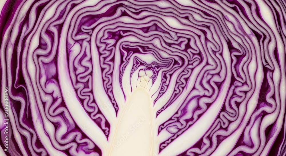 Obraz premium Red cabbage cross section revealing intricate internal leaf patterns and organic geometry.