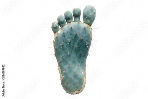 Canvastavla Spiny Prickly Pear Cactus Pad with Five Toe Pads Resembling a Footprint
