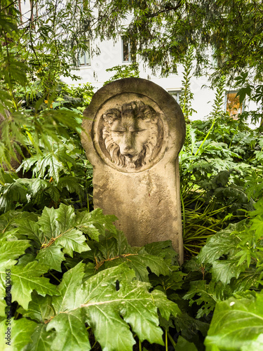 A weathered stone marker featuring a carved lion's head medallion peeks out from lush green foliage in Milan's Brera Botanical Garden.
