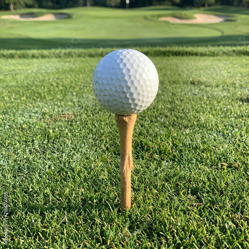 golf tee