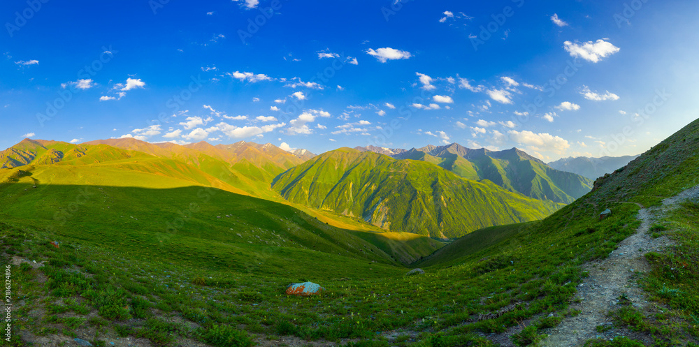 Fototapeta premium Panoramic Mountain Landscape with Winding Path