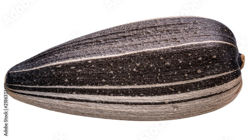 Single striped sunflower seed with textured shell, isolated on transparent background