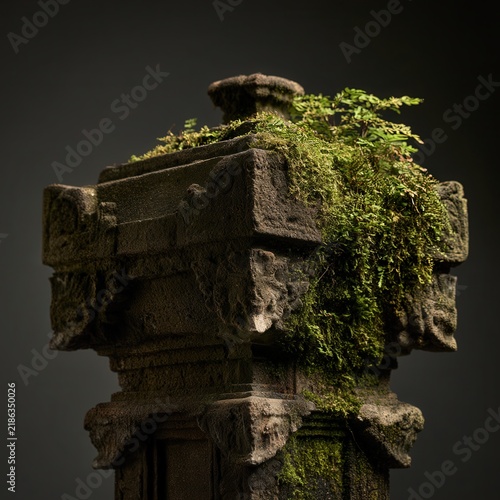 Ancient stone structure overgrown with moss and plants