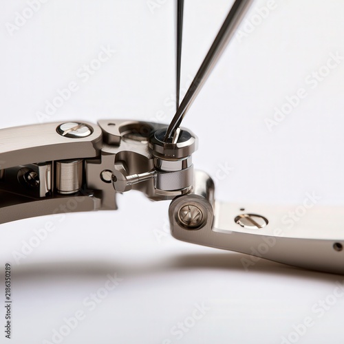Precision mechanism being adjusted with a small tool