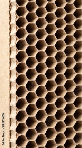 Close-up view of a recycled honeycomb cardboard panel showing the internal hexagonal core structure