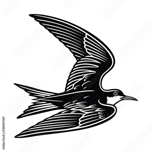 Arctic Tern Wildlife Silhouette Isolated on White