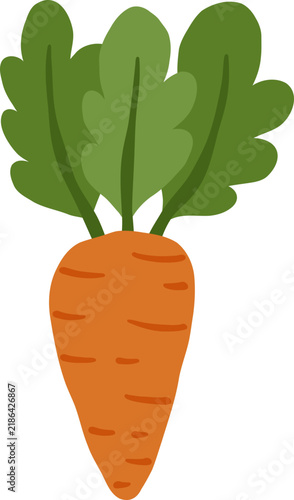 cute orange carrot vegetable food with leaf vector cartoon illustration
