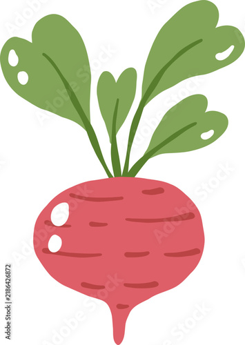 cute beetroot vegetable food vector cartoon illustration