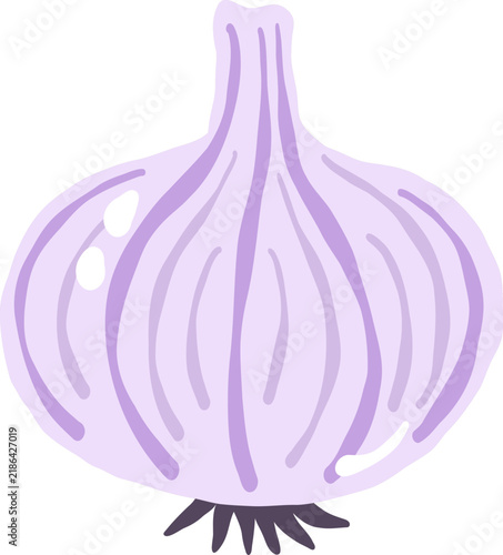 purple onion shallots vegetable food cartoon vector illustration