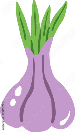 purple onion shallots vegetable food cartoon vector illustration