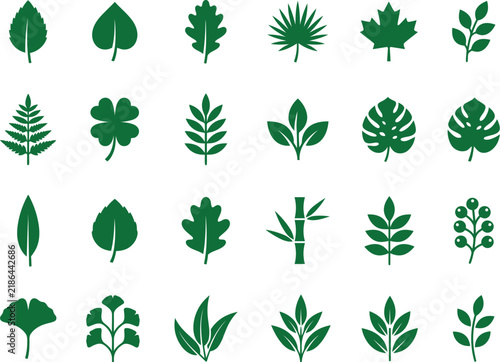 collection of green leaves