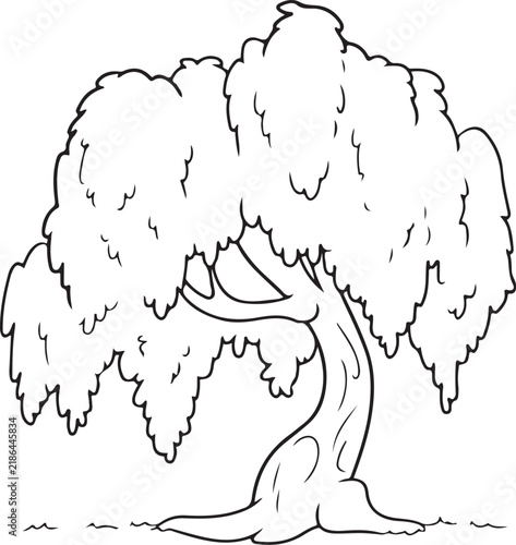 Black and white illustration of a weeping willow tree simple line art drawing for nature and garden design isolated on white background