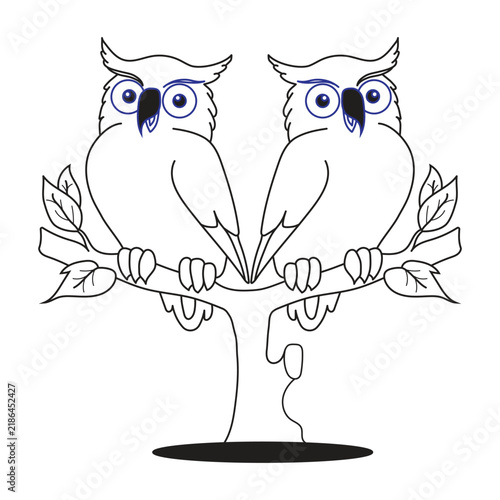 Illustration of a pair of owls