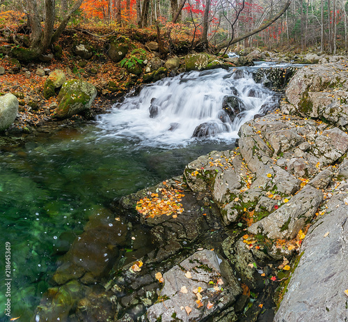 Canvastavla Small cascade on Smolny Creek flowing through a rocky autumn forest in Primorsky Krai, Russian Far East