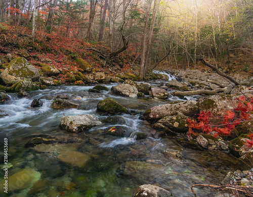 Canvastavla Smolny Creek flowing between moss covered rocks in a colorful autumn forest in Primorsky Krai, Russian Far East