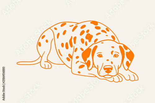 Hand Drawn Spotted Dog Resting on the Ground, Canine Line Art Illustration