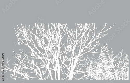 black and white drawing of a tree with branches