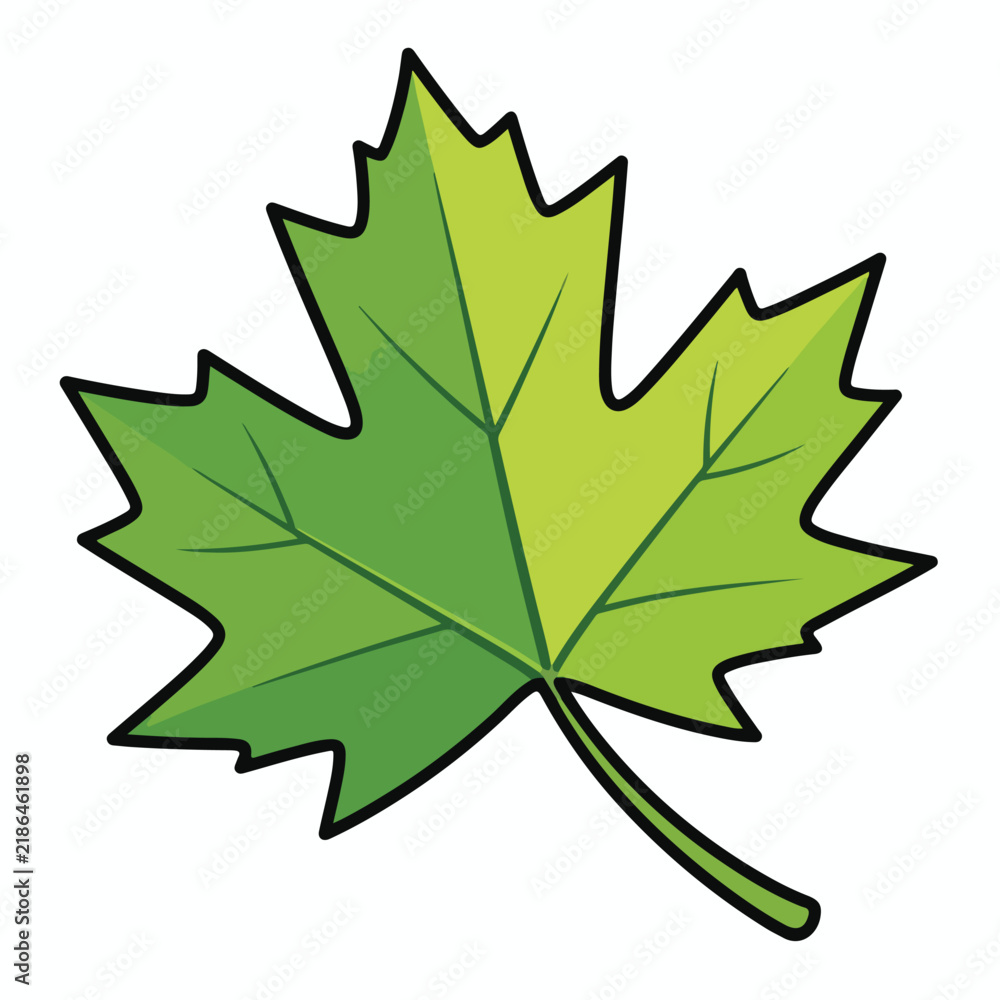 Fototapeta premium Fresh Green Maple Leaf Semi Realistic Vector Illustration Isolated on White Background