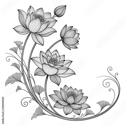Elegant lotus flowers illustration on decorative vine