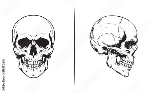 Anatomical human skull front and side profile view vector line art illustration for medical design.