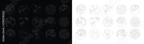 Foto Set of top view tree vector silhouettes with white outline for landscape design plans and architectural rendering projects in modern cad drafting style