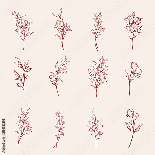 Hand-Drawn Botanical Floral Line Art Elements Set