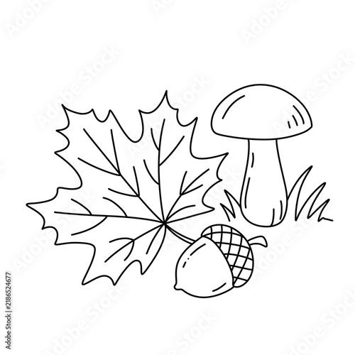 Autumn maple leaf with mushroom and acorn line art illustration