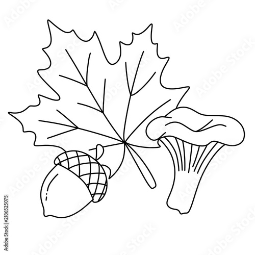 Autumn leaves and acorns corner border line art illustration